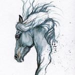 Profile Picture of Marisa & Leara (@diebestenpferdederwelt_ly) on Instagram