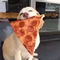 Profile Picture of Gabrielle Wagner (@gabrielle-wagner-12) on Quora