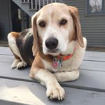 Profile Picture of Max Wilcox (@maxgwilcox) on Instagram