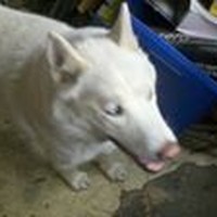 Profile Picture of David Mcswain (@david-mcswain) on Quora