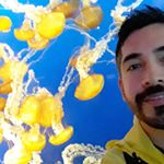 Profile Picture of J Ernesto Ramírez Torres (@erre_torres) on Instagram