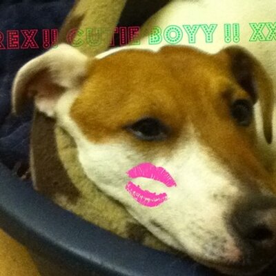 Profile Picture of Casey Sinclair (@weecaseyx1) on Twitter