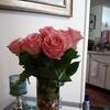 Profile Picture of Laura Burkett (@@lauraburkett) on Tiktok