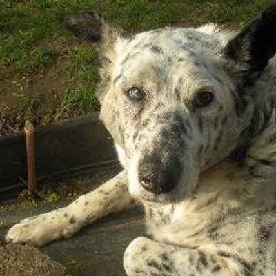 Profile Picture of Everett L Long (@Wnikieman) on Twitter