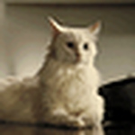 Aleksandr Orlov - Flickr Profile Picture of Aleksandr Orlov (@alek.orlov) on Flickr