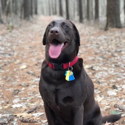 Profile Picture of Pat (@PatMcH87) on Twitter
