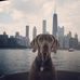 Profile Picture of Greg Simos (@greg.simos.3) on Facebook