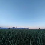 Profile Picture of mohamad_reza_alinaghi (@mohamadreza.ir23d) on Instagram