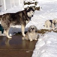 Profile Picture of Jeff Arney (@arney4320) on Pinterest