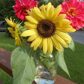 Profile Picture of Brenda Sanchez (@runninonmtea) on Pinterest