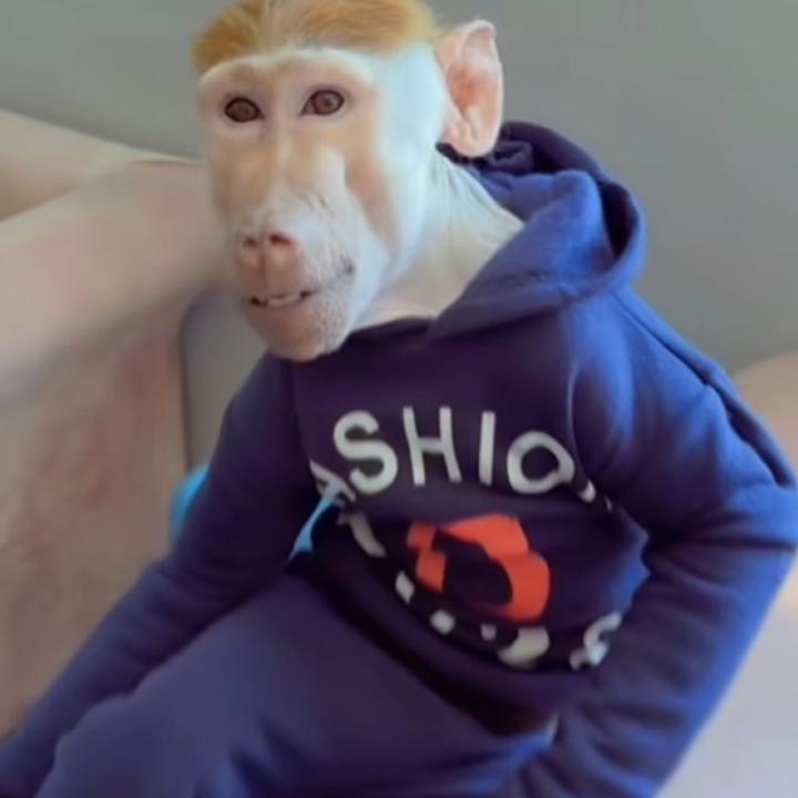 Profile Picture of vince (@vince.hurley) on Tiktok