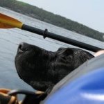 Profile Picture of Robert Maslowski (@robmas1) on Instagram