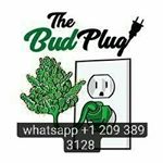 Profile Picture of John Stones Silverado (@john.silverado) on Instagram