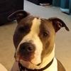 Profile Picture of Brad Gunn (@@gunnrunner17) on Tiktok