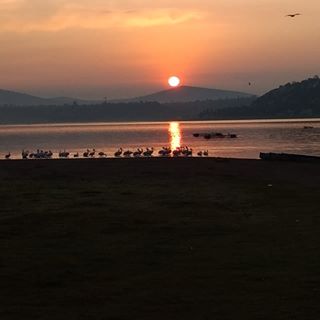 Greg Mayco - Facebook Profile Picture of Greg Mayco (@Greg-Mayco) on Facebook