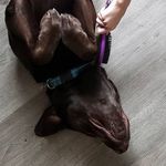 Profile Picture of Kevin Gamble (@bear.gamble) on Instagram
