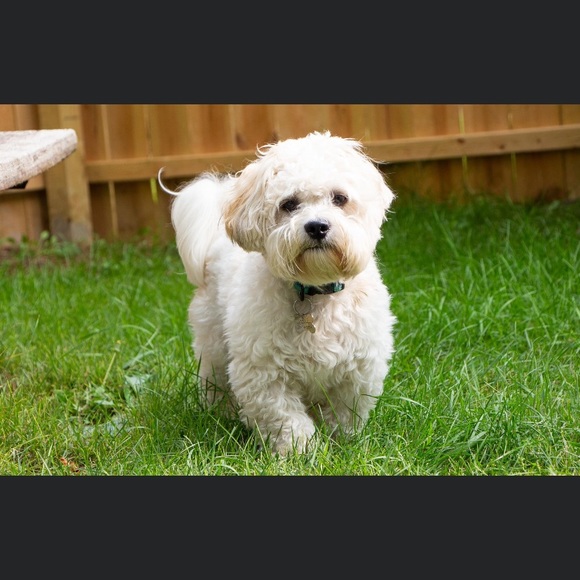 Profile Picture of Parker Williamsen (@pawid47) on Poshmark