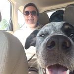 Profile Picture of Cate Scott (@catescottrulz) on Instagram