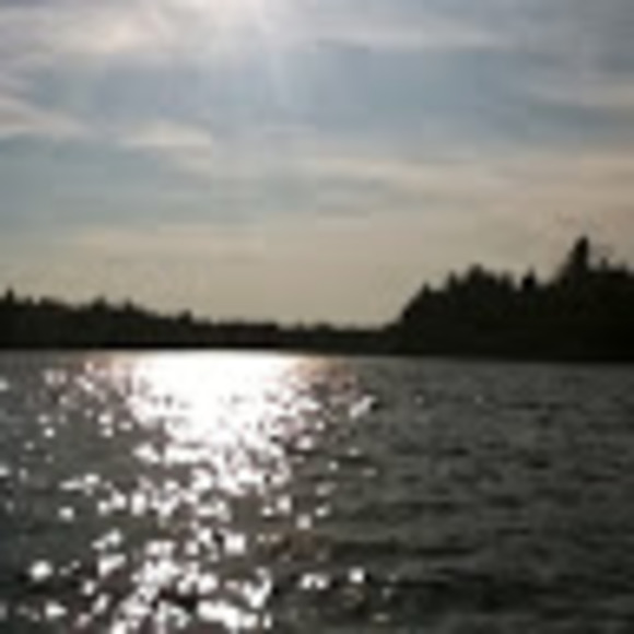 Profile Picture of Elsa Daigle (@elsadaigle) on Poshmark