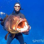 Profile Picture of Adrian Suarez Marquez (@adriansuarezmarquez) on Instagram