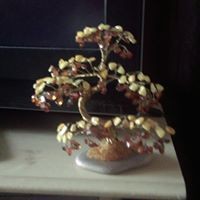 Profile Picture of Thomas Cornish (@thomas-cornish-4) on Quora