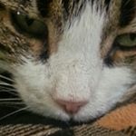 Profile Picture of Apryl (@aprylhoward11) on Instagram