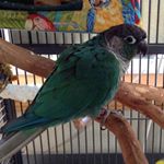 Profile Picture of Nathan Getz (@nathan.getz.7) on Instagram