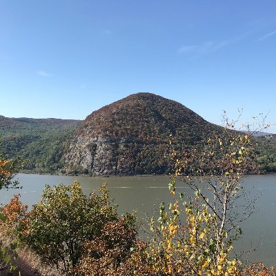 Profile Picture of Vince Kong (@ktvkong) on Twitter