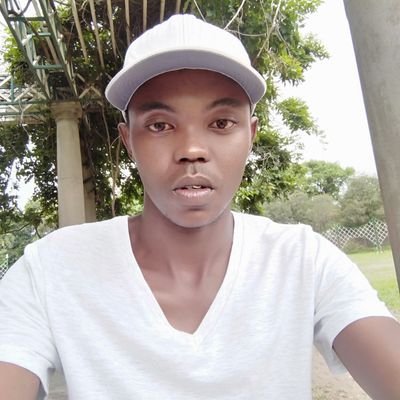 Profile Picture of @john_manko (@johnmanko4) on Twitter