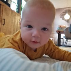 Profile Picture of Eric Bos (@@ericbos1) on Tiktok