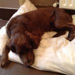 Profile Picture of Aaron Vannoy (@andinustr) on Instagram