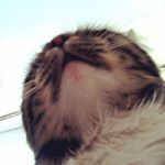 Profile Picture of Patricia Archibald (@patriciaarchibald10) on Instagram