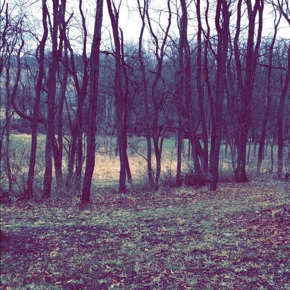 Hannah Fildes - Poshmark Profile Picture of Hannah Fildes (@pineapplegurpl) on Poshmark