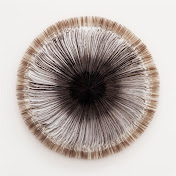 Profile Picture of Zhuo Feng (@zhuofeng5021) on Youtube