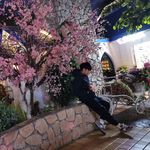 Profile Picture of Bryan Chan (@bryan.ckh) on Instagram