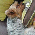 Profile Picture of catherineespinal29 (@catherineespinal29) on Instagram