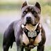 Profile Picture of Lenkii Karlsruhe (@chris10022) on Pinterest