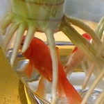 Profile Picture of wang lei (@wangleisex) on Flickr