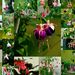 Profile Picture of Kristine Kopperud (@kristinekopperu) on Pinterest