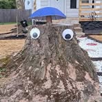 Profile Picture of Ted Stumpy (@ted.stumpy) on Facebook