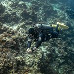 Profile Picture of 권현주 / Kevin  Kwon (@diver_kevin_kwon) on Instagram