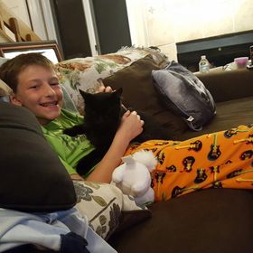 Profile Picture of Deborah Gross Root (@dkitten13) on Pinterest