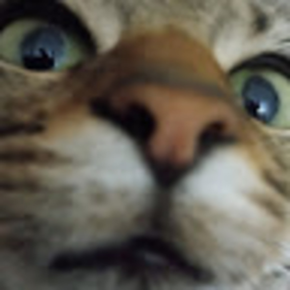 Shiloh Shiloh - Poshmark Profile Picture of Shiloh Shiloh (@s_shiloh) on Poshmark