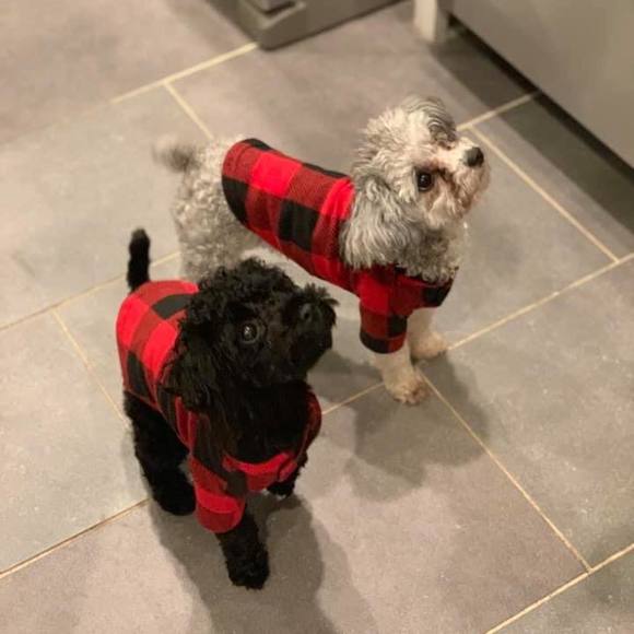 Profile Picture of Loretta Mccord bateman (@batemanloretta) on Poshmark