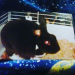 Profile Picture of Caleb Shepard (@calebshepard11272005) on Instagram