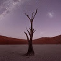 Mun Yee Yang - Quora Profile Picture of Mun Yee Yang (@mun-yee-yang) on Quora