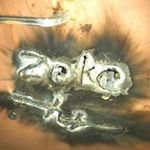 Profile Picture of Richard Scherer (@zeke1452) on Instagram