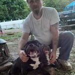 Profile Picture of Tom Windle (@tomwindlewindle) on Instagram