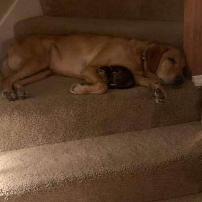 Profile Picture of Jimmy Chitwood (@YaboyJrod) on Twitter