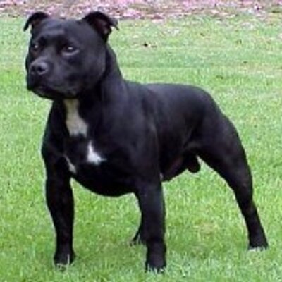Profile Picture of John Bechtel (@@johnbechtel14) on Twitter